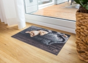 Rohož, předložka Astra Deco Print Kočička spící v dece